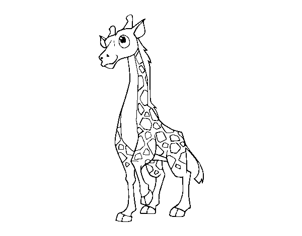 Coloriage de Girafe féminin pour Colorier
