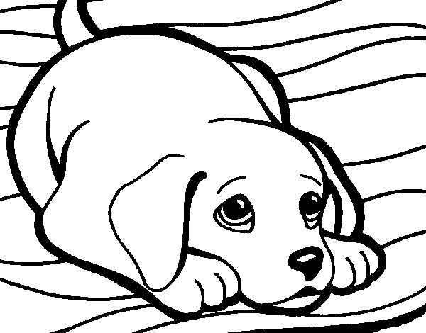 Coloriage de Petit chien sur le tapis pour Colorier