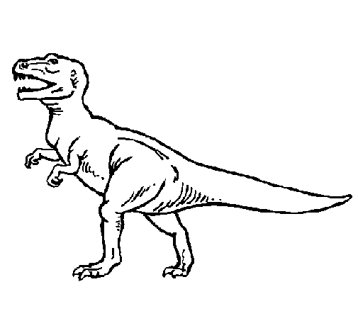 Coloriage de Tyrannosaurus Rex pour Colorier